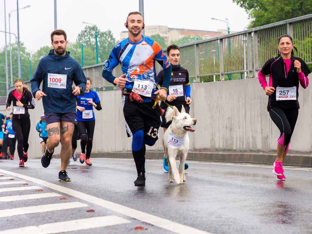 people running for charity